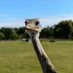 Média Sites Ingénierie