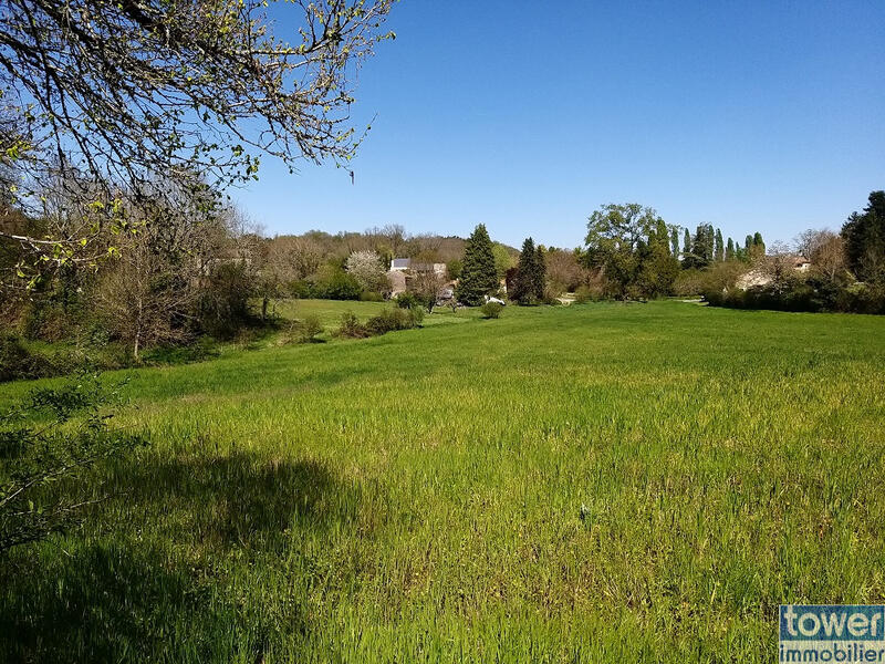 Terrain de loisirs - 12 015 m²