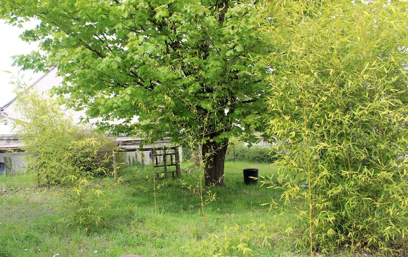 Maison - 220 m² - 12 pièces