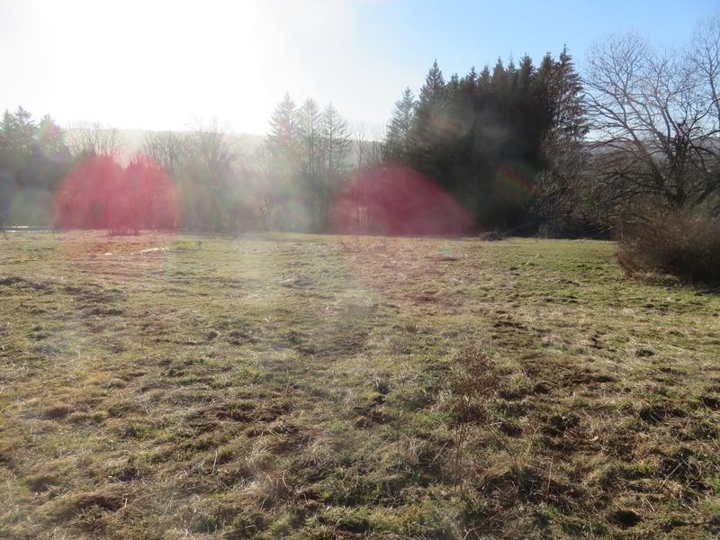 Terrain constructible - 5 503 m²