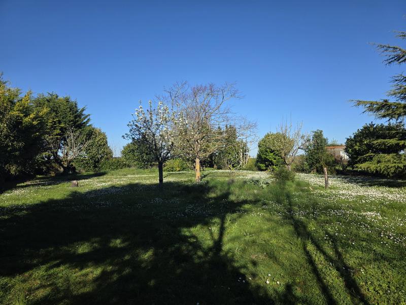 Terrain - 950 m²
