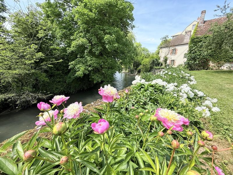 Maison - 750 m² - 25 pièces