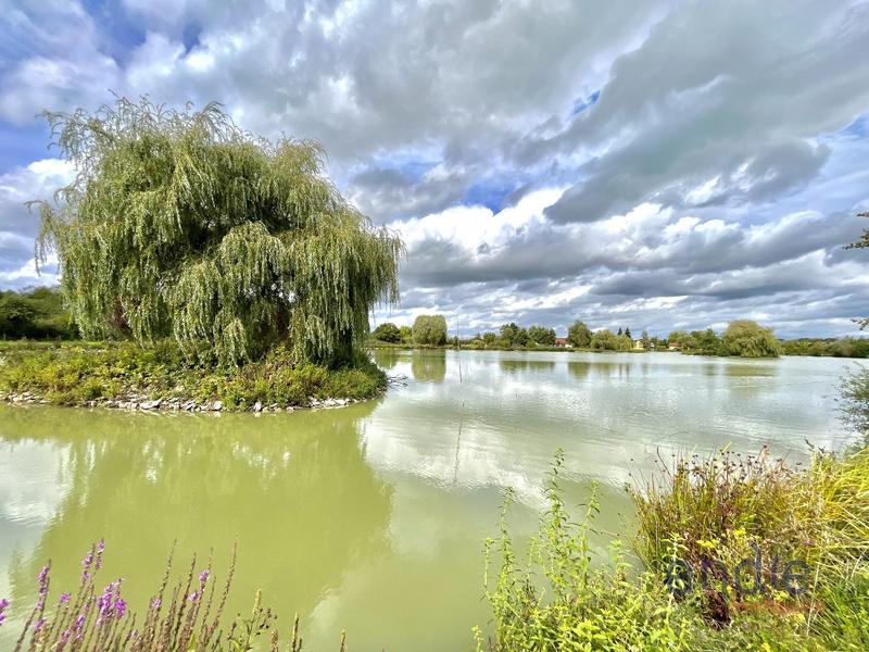 Maison - 275 m² - 8 pièces