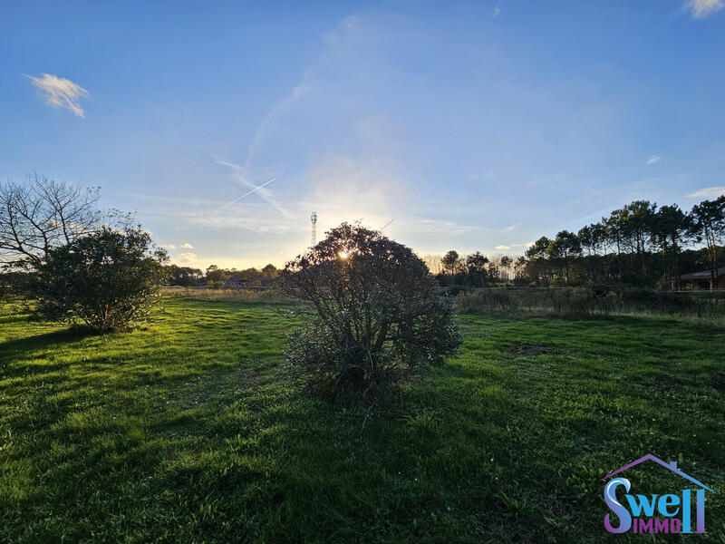 Maison - 91 m² - 4 pièces