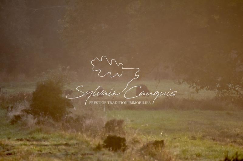 Propriété - 800 m² - 25 pièces