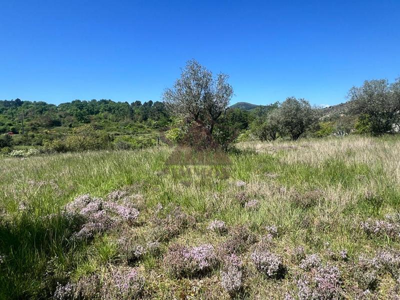 Terrain - 1 180 m²