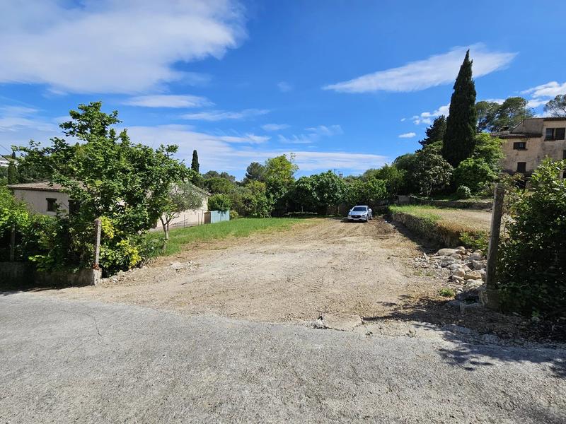 Terrain - 778 m²