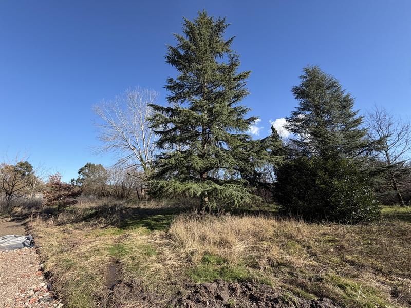 Terrain - 800 m²