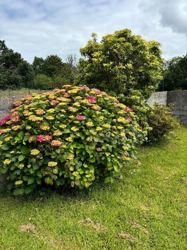 Maison - 127 m² - 7 pièces