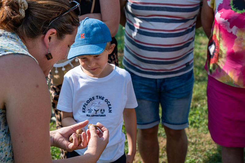 Visite d'un élevage d'escargots