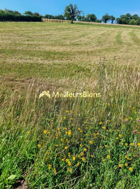 Terrain constructible - 2 239 m²