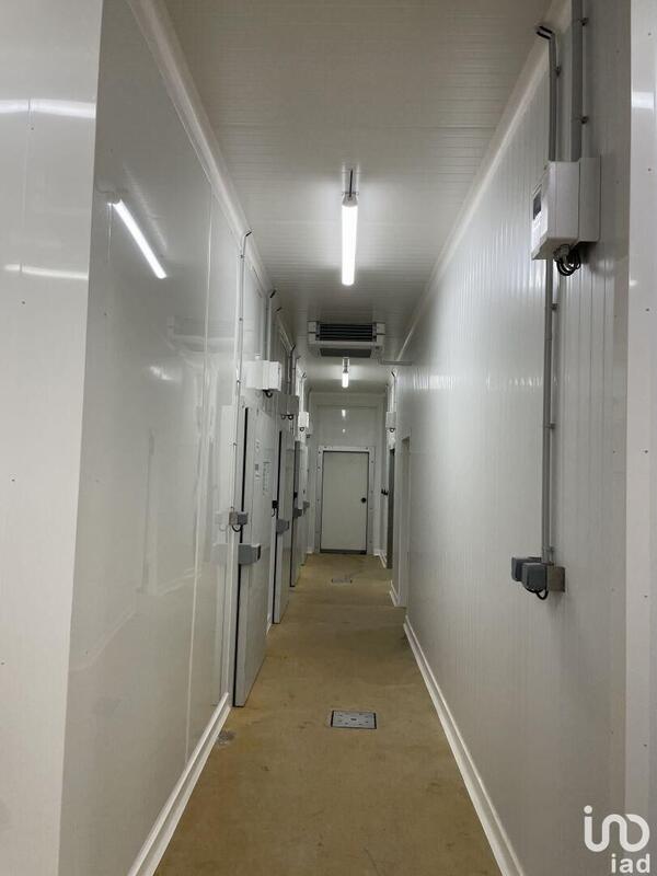 Local commercial - 350 m²