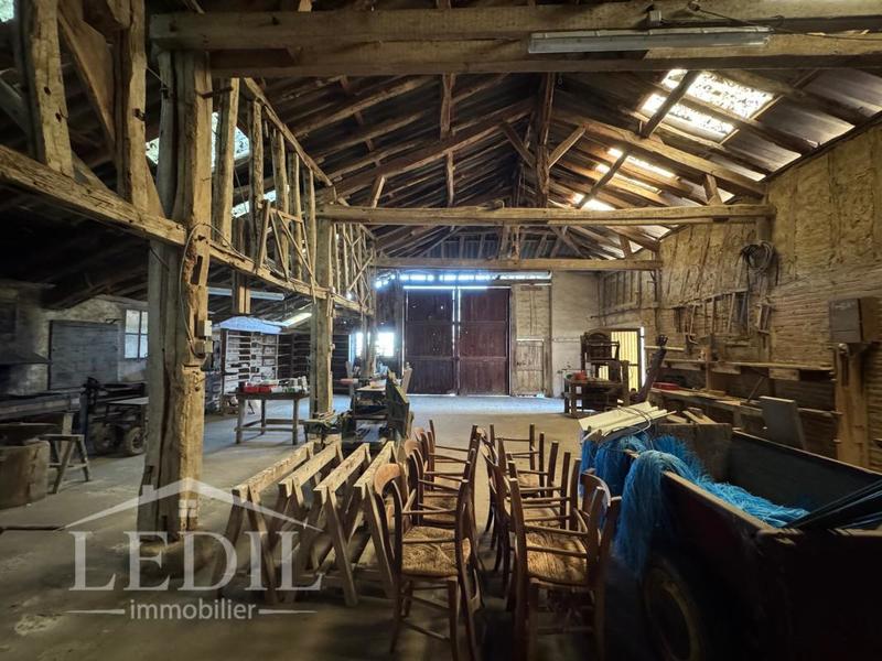 Propriété - 310 m² - 9 pièces