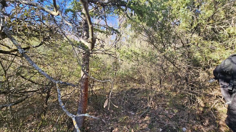 Terrain - 24 790 m²