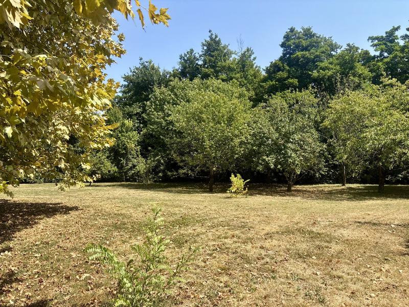 Maison ancienne - 223 m² - 10 pièces