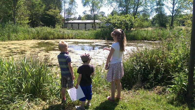 A la découverte des Amphibiens