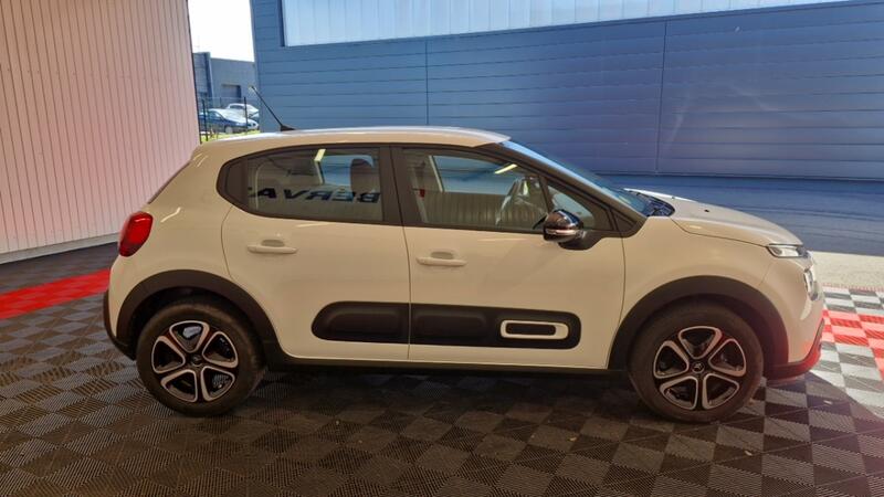 Citroën C3 Societe Bluehdi 100 Ss Pro Plus