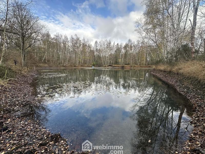 Terrain - 10 450 m²