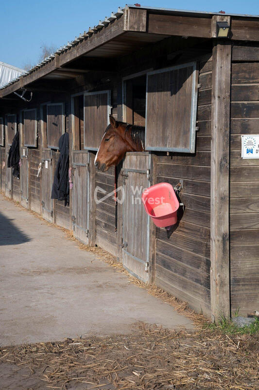 Local d'activités - 800 m² - 4 pièces