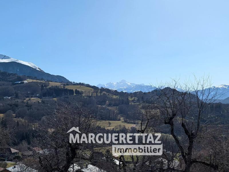 Terrain - 3 206 m²