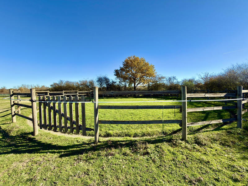 Maison ancienne - 192 m² - 9 pièces