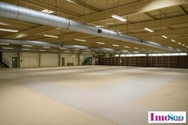 Local d'activité / Entrepôt - 3 350 m²