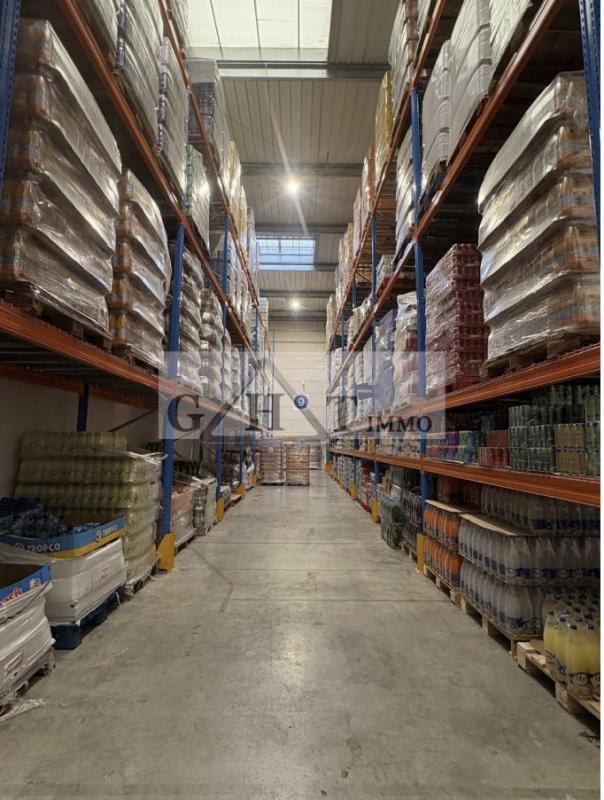 Entrepôt - 1 113 m²