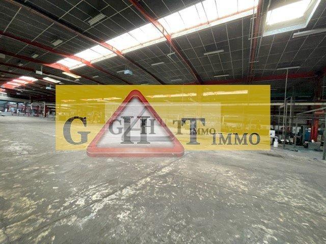 Entrepôt - 5 920 m²