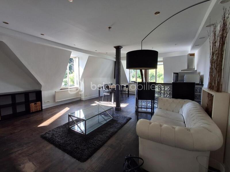 Loft - 66 m² - 3 pièces