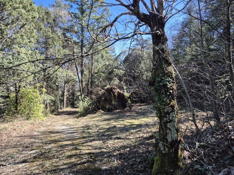 Maison - 200 m² - 10 pièces