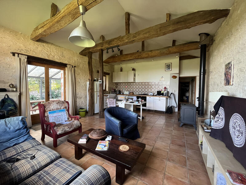 Maison - 320 m² - 10 pièces