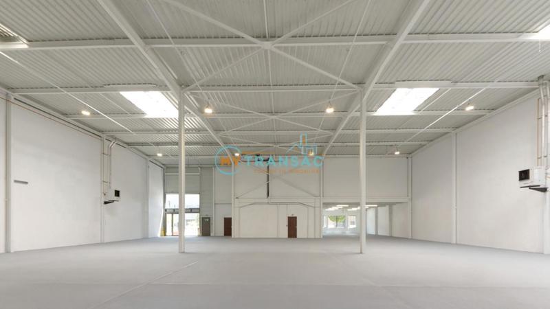 Entrepôt - 1 117 m²