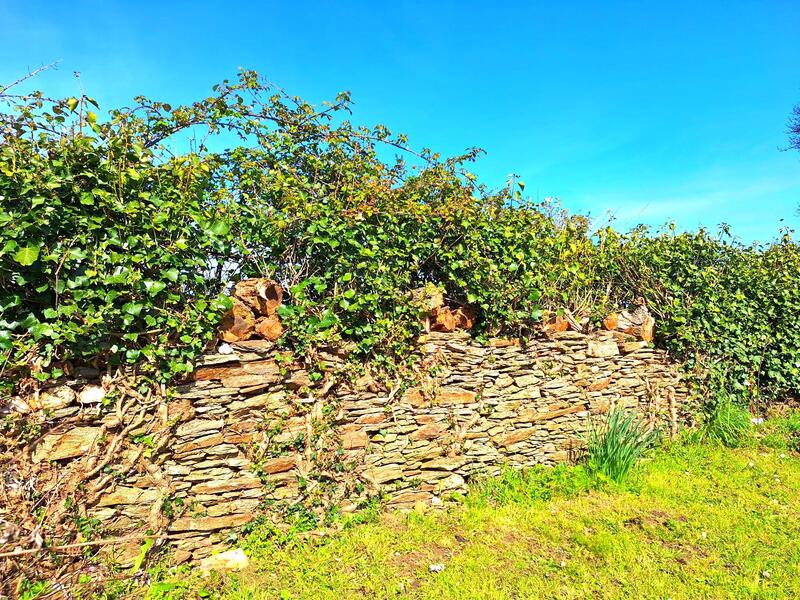 Maison - 114 m² - 6 pièces