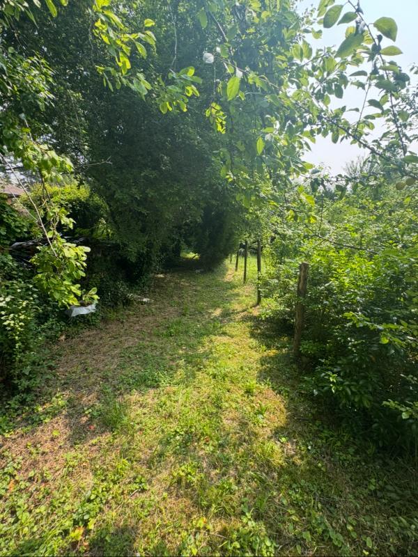 Terrain constructible - 703 m²