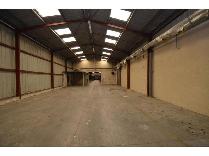 Appartement - 3 600 m² - 15 pièces