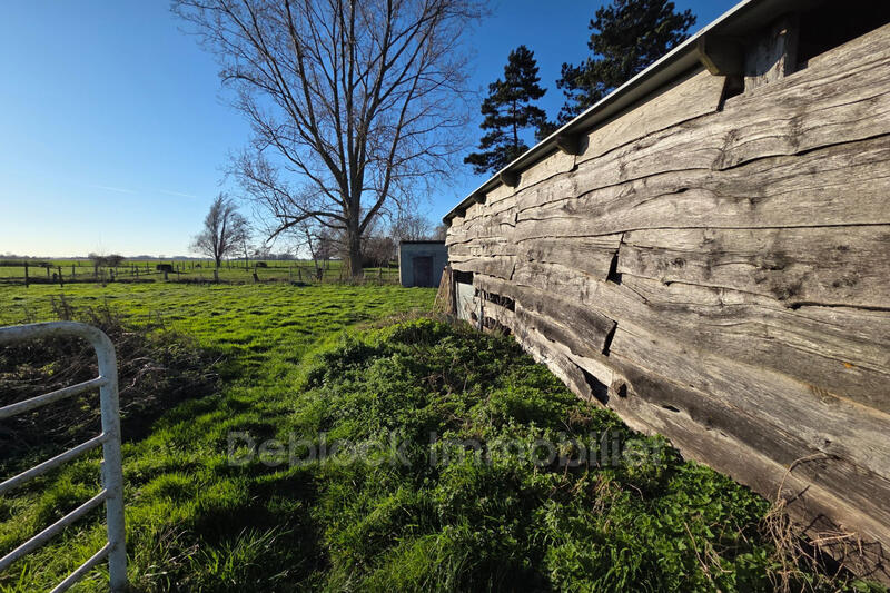 Maison - 142 m² - 5 pièces