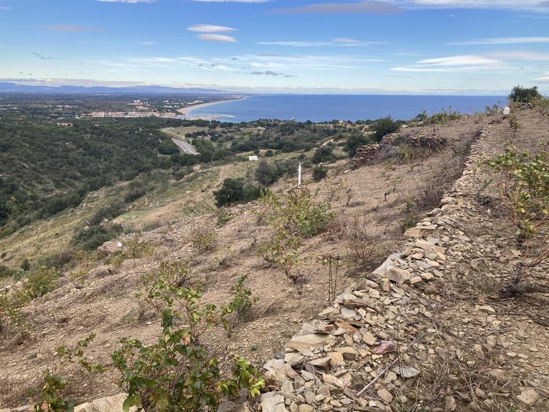 Terrain agricole - 10 846 m²