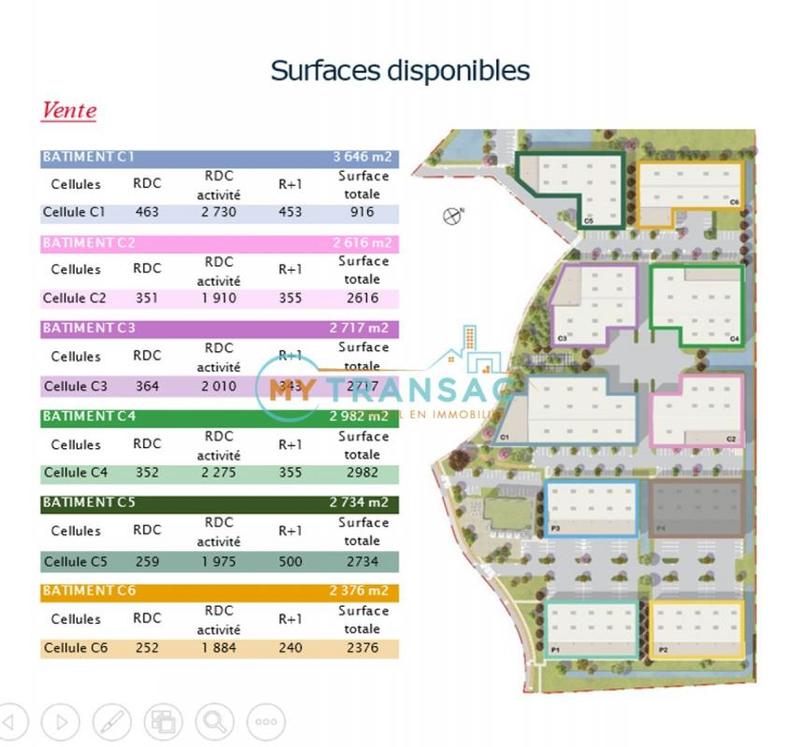 Local d'activité / Entrepôt - 2 616 m²