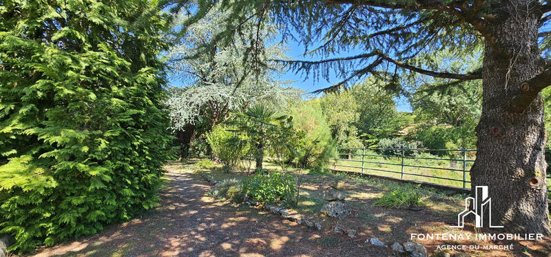 Maison ancienne - 147 m² - 6 pièces