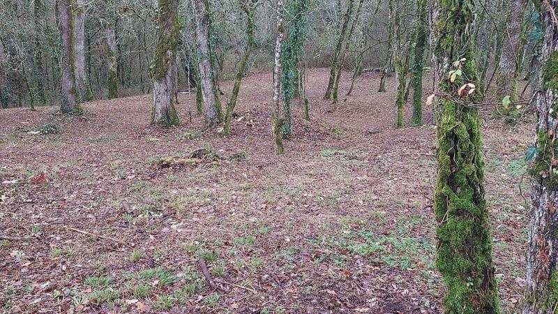 Terrain constructible - 1 255 m²