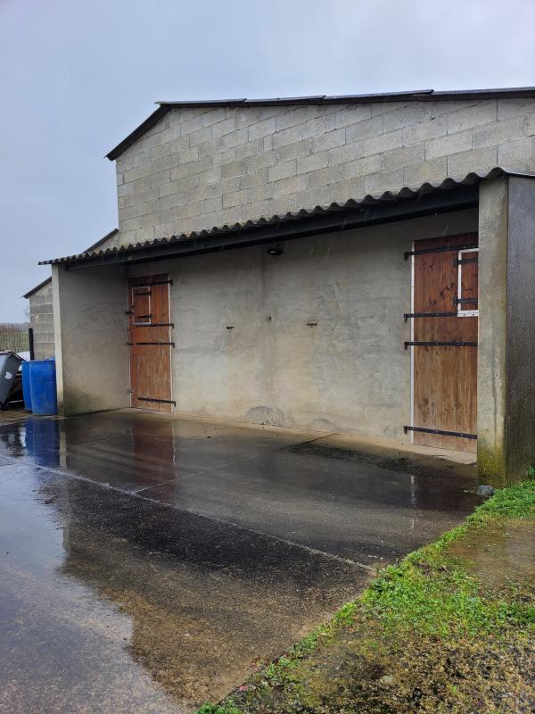 Local d'activité / Entrepôt