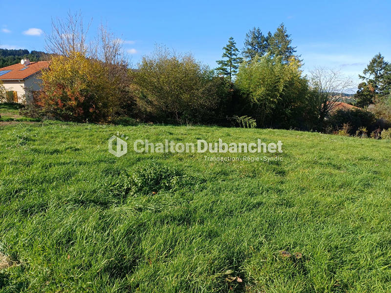 Terrain - 1 453 m²
