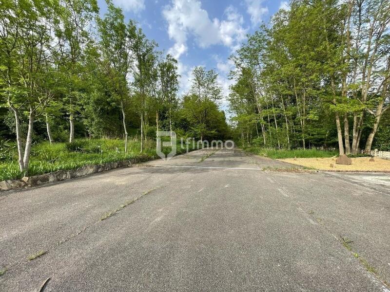 Terrain - 77 171 m²