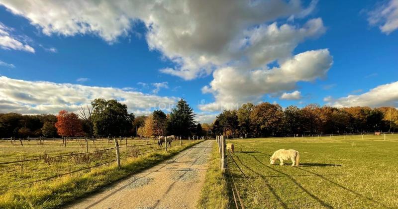 Propriété - 200 m² - 7 pièces