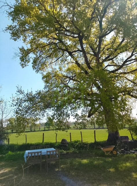 Maison - 290 m² - 7 pièces