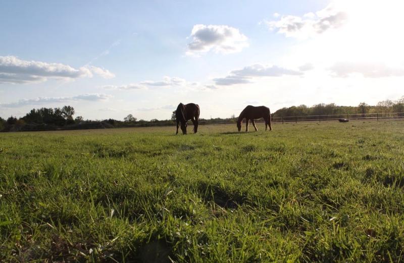 Ferme - 92 m² - 5 pièces