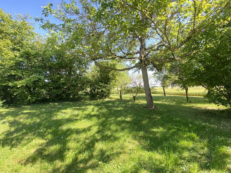 Maison ancienne - 171 m² - 5 pièces