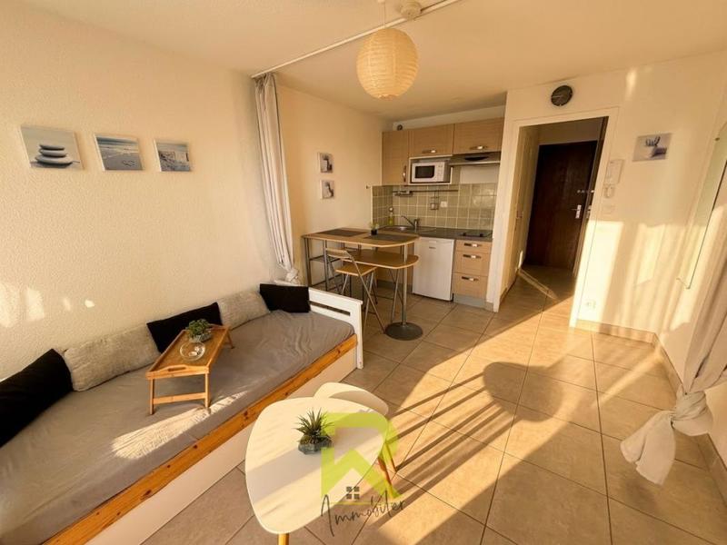 Studio - 19 m² - 1 pièce