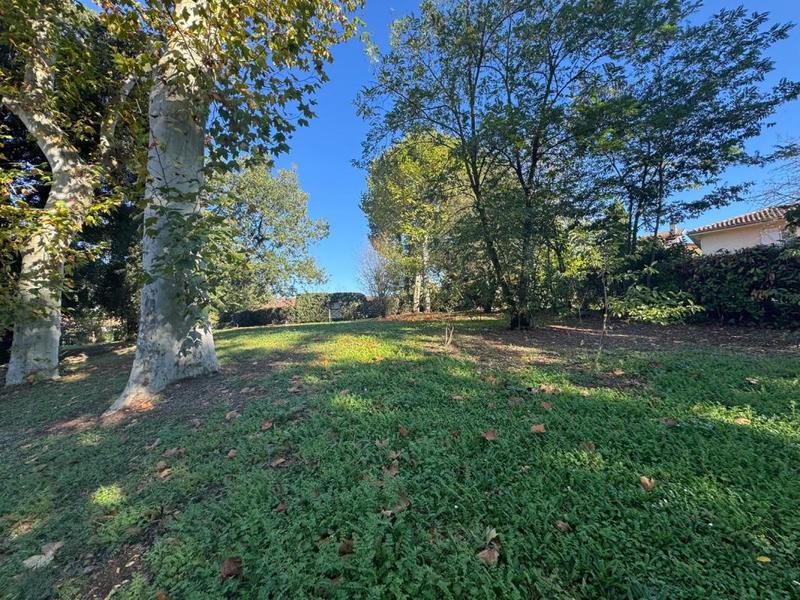 Duplex - 61 m² - 3 pièces