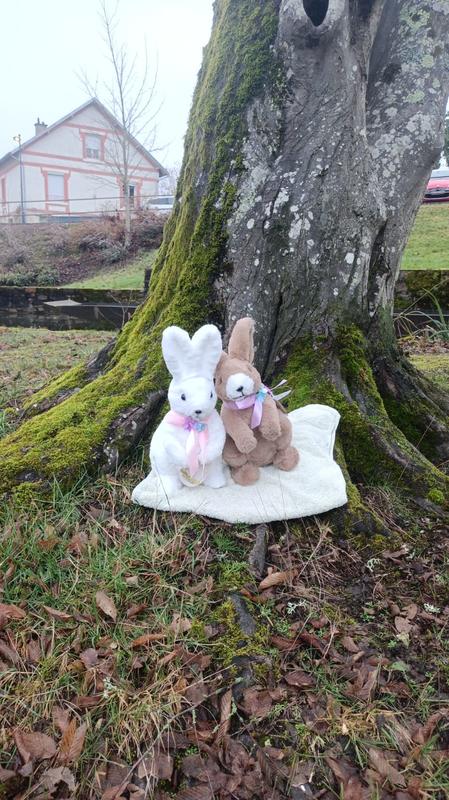 Chasse aux oeufs du Club Gymnique 87